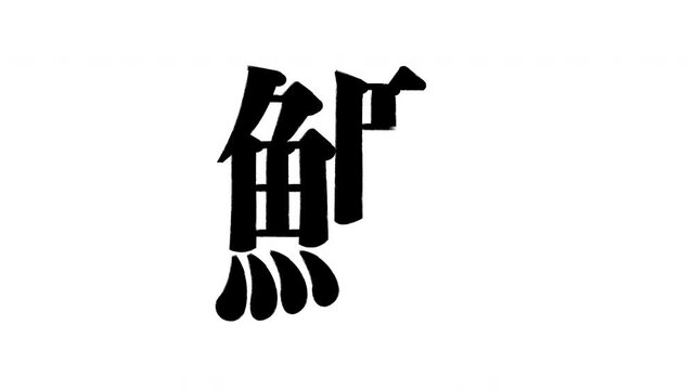 鰹 かつお　bonito