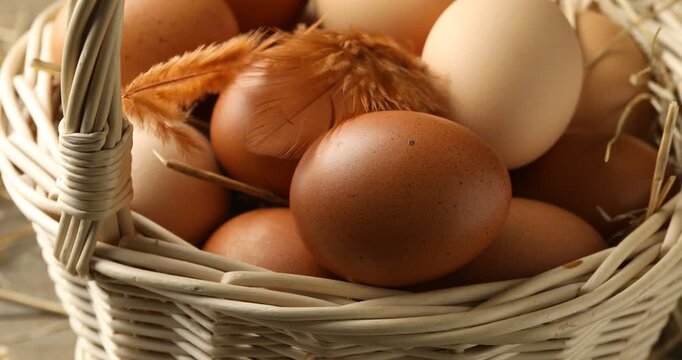 Raw chicken eggs and feather in wicker basket, closeup. Camera moving right