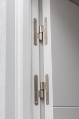 Close-up view of modern cabinet hinges showcasing sleek design and metallic finish, emphasizing functionality and craftsmanship in contemporary interior spaces