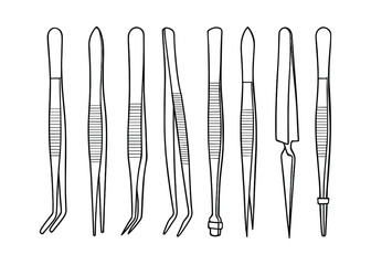 Assortment of Surgical Instruments: A detailed vector illustration of various forceps