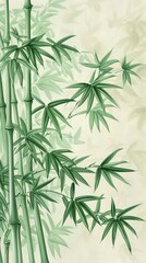 Fototapeta premium Wallpaper bamboo forest plant.