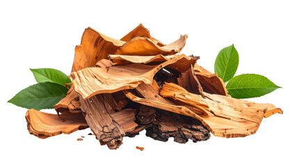 Pile of dried brown bark with green leaves against black background