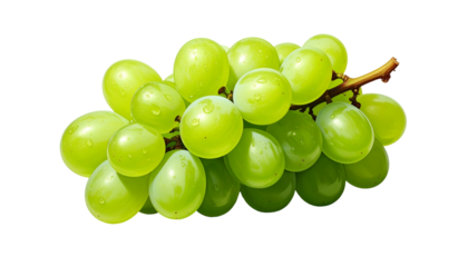 Fresh green grape cluster with water droplets