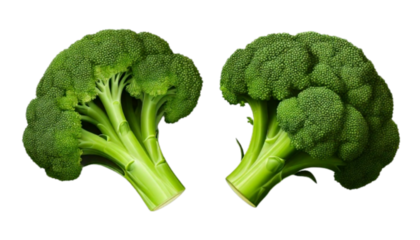 Fresh Broccoli Head Bundle with Two Variations, isolated on transparent background.