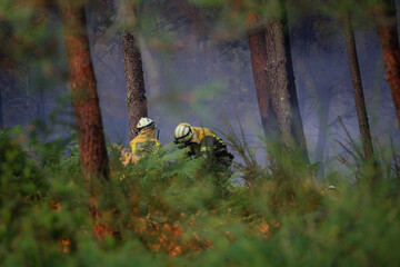 Work to extinguish a forest fire