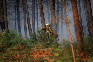 Work to extinguish a forest fire