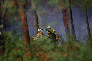 Work to extinguish a forest fire