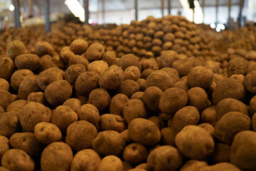 Fresh vegetables in bulk on display in market