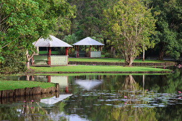 Obraz premium Two gazebos and trees next to peaceful water at Warrina Lakes in Innisfail, Queensland, Australia