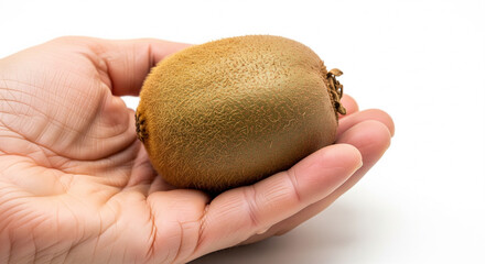 Fresh kiwi fruit held in hand with plain white background, tropical healthy food concept.
