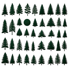 Obraz premium Collection of diverse dark green evergreen trees, isolated on black background