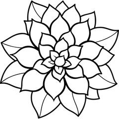 Obraz premium Floral Garden Bloom Outline Pattern Vector Illustration Isolated on White