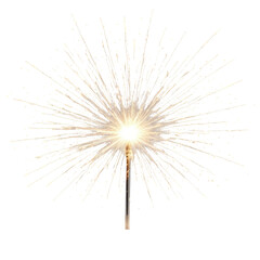 Sparkler bursts with golden light against black backdrop