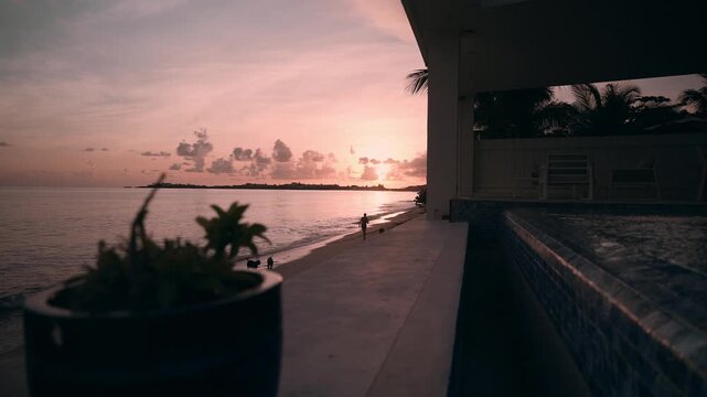 sunset beach view with woman and dogs walking at sint maarten caribbean