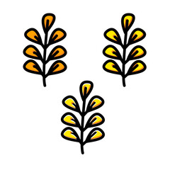 Fall Season Plant with Yellow Leaves