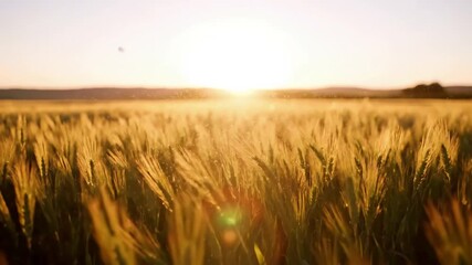 Close-up on individual grass stalks - Powered by Adobe
