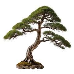 Detailed illustration of a bonsai tree, green leaves, curved trunk, dark background