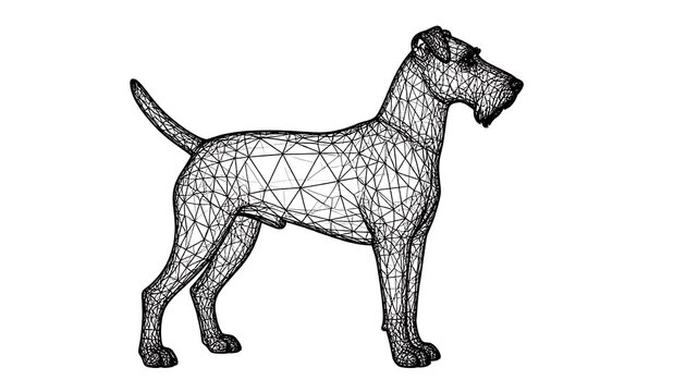 Wire-framed dog profile