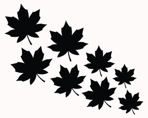 Black and White Maple Leaf Pattern on Light Background