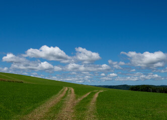 Fototapeta premium A meadow landscape spreading beneath the white clouds dotted