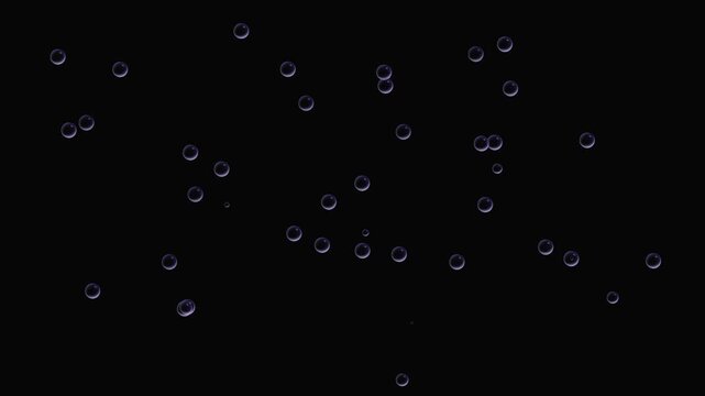 Water bubbles float upwards animation on black background. Soap bubbles floating. Real blowing water bubble. Slow motion of air bubbles are flying on dark surface. Bubbles floating gently in the air.