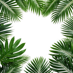 Tropical palm leaves frame a black space, perfect for text or an image