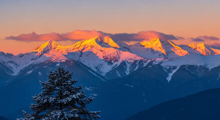 Snow capped mountain range at sunset with a pine tree in the foreground, creating a majestic and serene winter landscape
