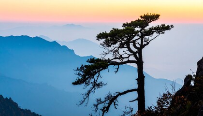 Obraz premium Lone Tree Silhouette Against Misty Mountain Range at Sunset.