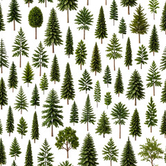 Fototapeta premium Dense forest of various evergreen trees, varying size and shape, green on black