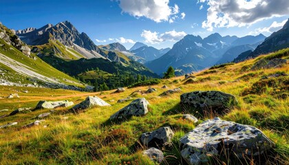 Alpine Meadow Scenery with Granite Boulders and Green Mountain Range Under Blue Sky and Cloudscape on a Sunny Day in Summer