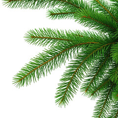 Fototapeta premium Close-up of lush green fir tree branches against a black backdrop