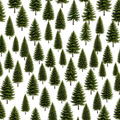 Obraz premium Dense pattern of evergreen trees on a black background