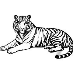 Black and White Tiger Illustration in Relaxed Pose