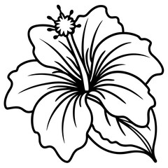 Minimalist Hibiscus Flower Line Art Vector Illustration on White Background