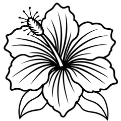 Minimalist Hibiscus Flower Line Art Vector Illustration on White Background