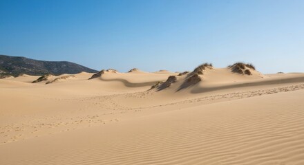 Vast expanse of pale sand dunes stretches under a clear blue sky.  Footprints crisscross the undulating terrain.  A distant mountain range hints at the horizon