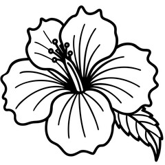 Hibiscus Radiance Line Drawing 