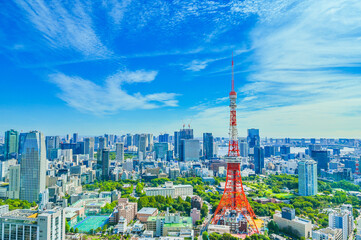 Obraz premium 日本の東京