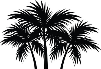 Obraz premium Beautiful palm tree leaf silhouette vector illustration