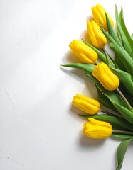 Radiant Yellow Tulips - A Springtime Bouquet on White.