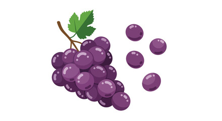 A bunch of purple grapes with a green leaf, and several grapes separated from the bunch, all on a white background.