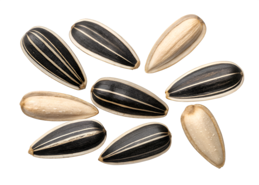 Close up of black and white striped sunflower seeds scattered on black background image