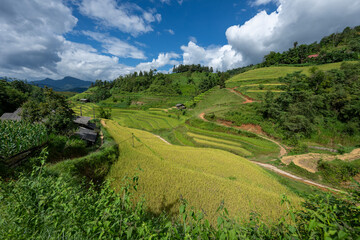 Obraz premium Landscape with green and yellow rice terraced fields and cloudy sky near Ha Giang Loop in northern Vietnam
