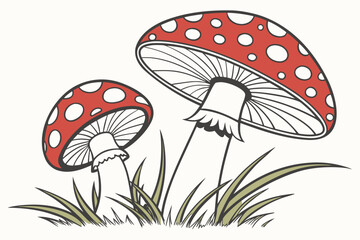 fly agaric mushroom