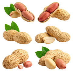 Close-up view of six peanuts, some whole, some halved, showcasing the shell and inner nut.  Fresh, natural peanuts are displayed in various orientations.  Green leaves add natural detail