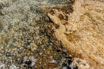 Mammoth Hot Springs, Yellowstone National Park , Wyoming. Hydrothermal System. calcium-carbonate waters. Terrace