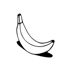 simple banana fruit outline with shadow illustration