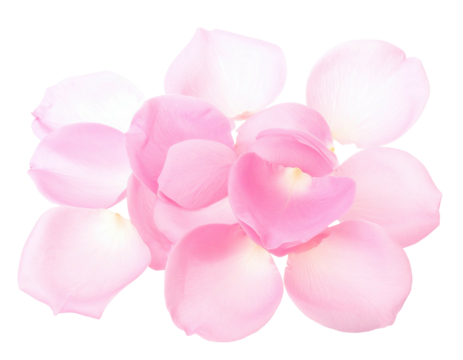 Delicate, light pink rose petals arranged in a cluster
