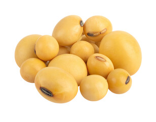 Cluster of yellow soybeans