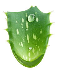 Close-up of a vibrant aloe vera leaf, featuring water droplets and unique, speckled pattern